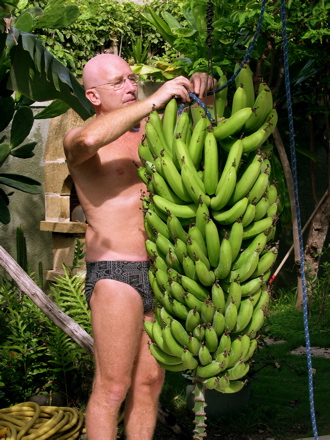 gerardbana